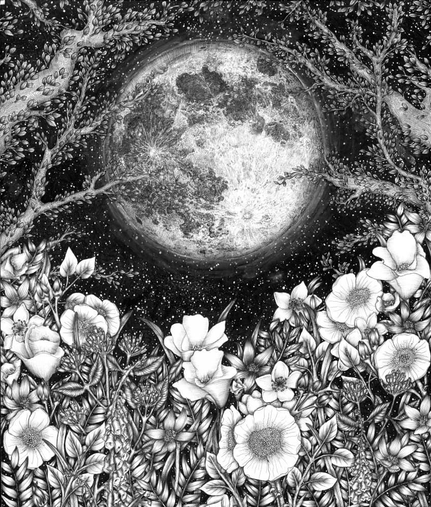 Moonlit Floral Night by EC Mazur — canvas wall art