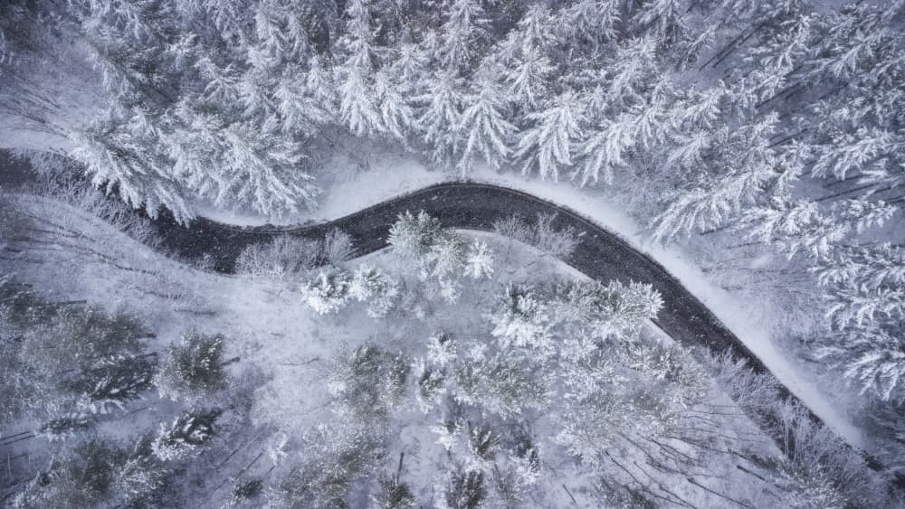 Snowy Forest Road by Pamela Doretti — canvas wall art
