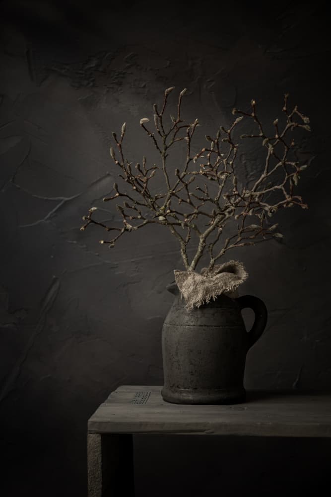 Rustic Branch Still Life by Mayra Pama — canvas wall art