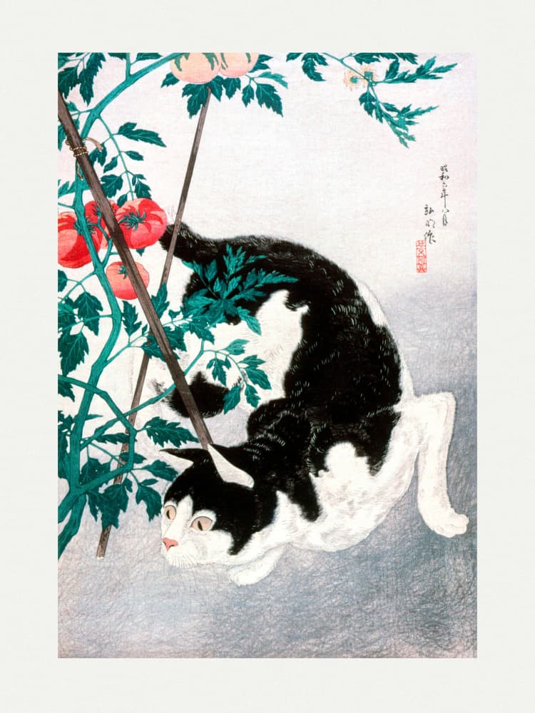 Cat With Tomato Plant (1931) by Hiroaki Takahashi — canvas wall art