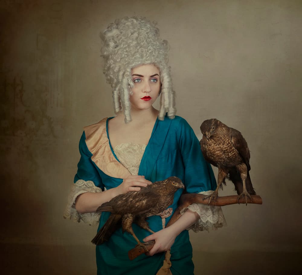 Elegant Lady With Hawks by Monika Vanhercke — canvas wall art