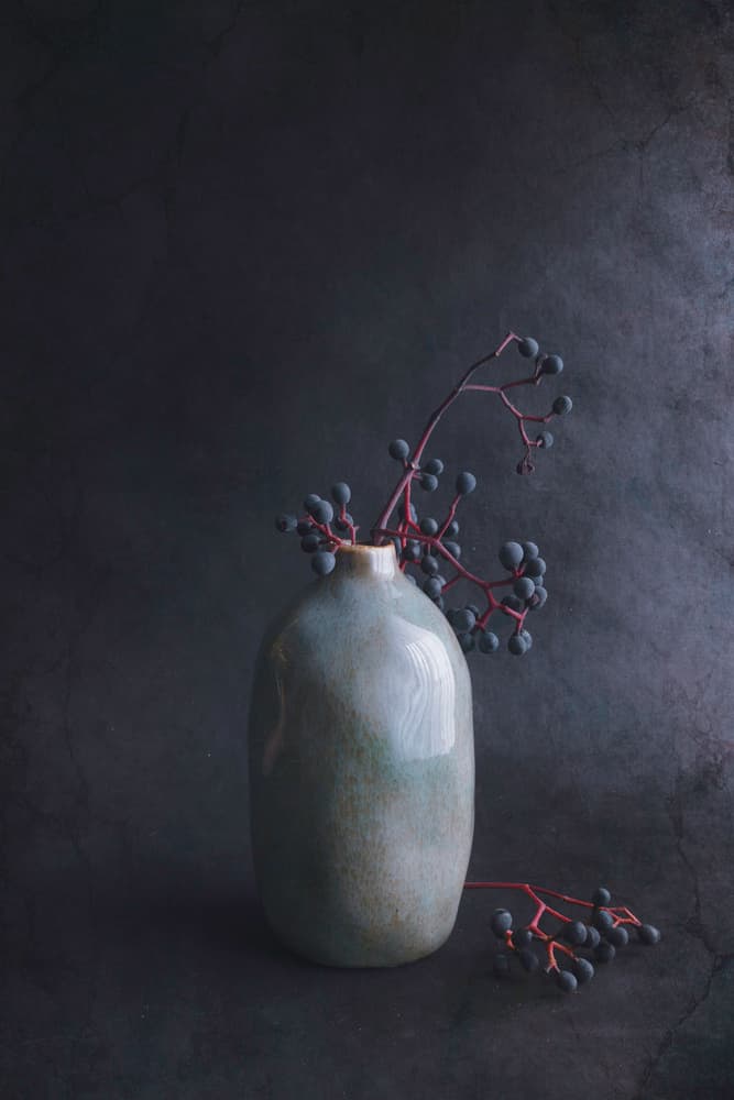 Dark Berries In Vase by Cicek Kiral — canvas wall art