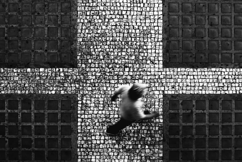 Running Pigeon Mosaic by Paulo Abrantes — canvas wall art