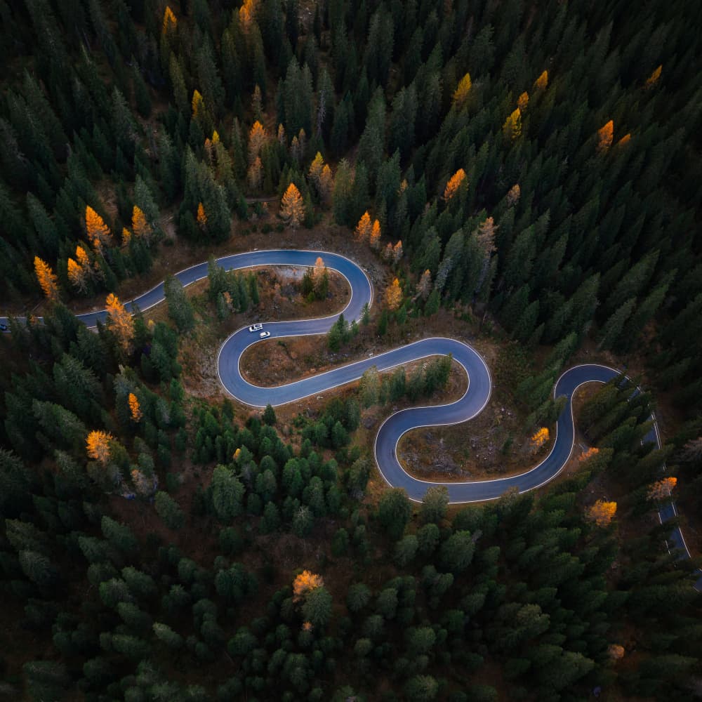 Winding Forest Road by Tony Xu — canvas wall art