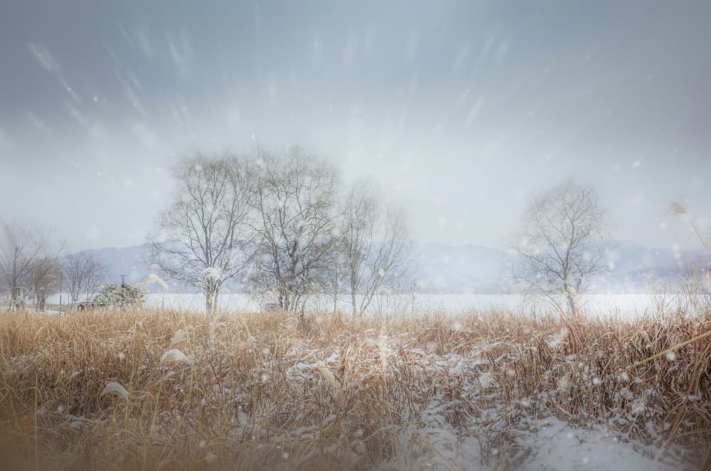 Snowy Field Serenity by YoungIl Kim — canvas wall art