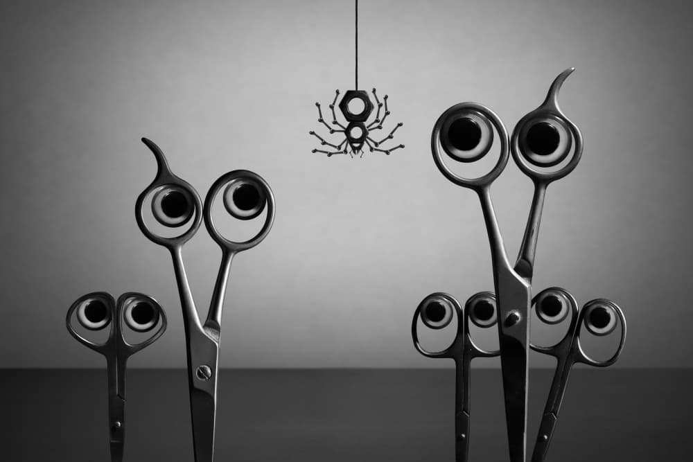 Scissor Eyes Watch Spider by Victoria  Glinka — canvas wall art