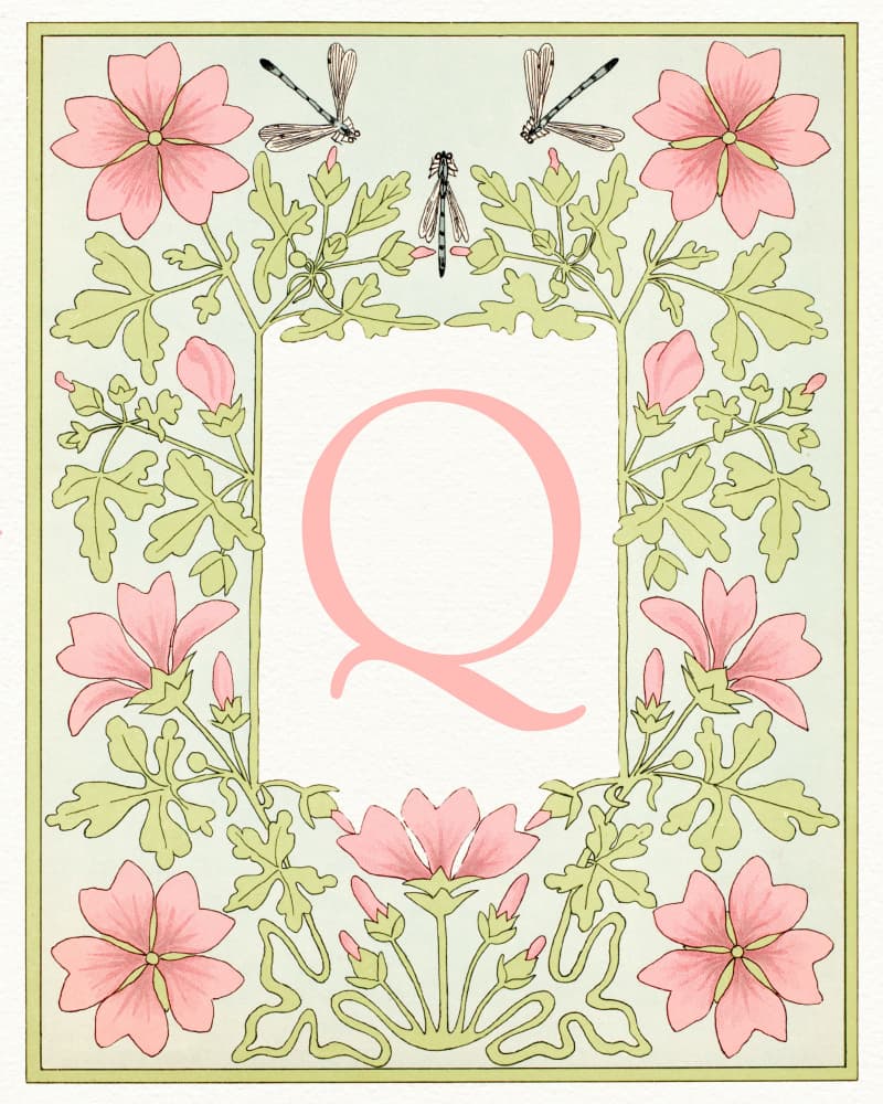 Botanical Letter Q by Wild Violets — canvas wall art