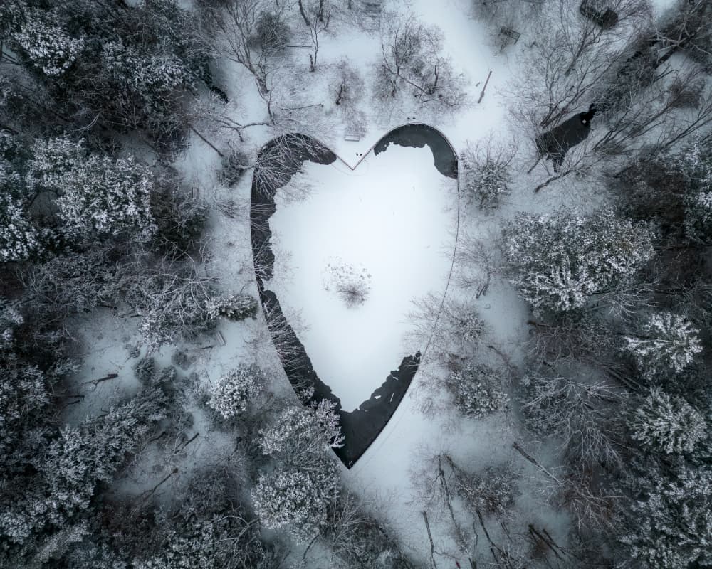 Snowy Forest Heart by Ambar Saha — canvas wall art