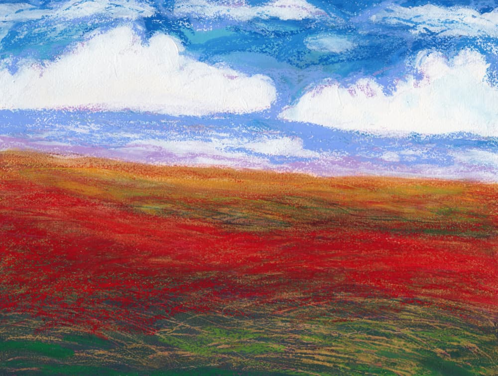 Red Field Blue Sky by Janel Bragg — canvas wall art