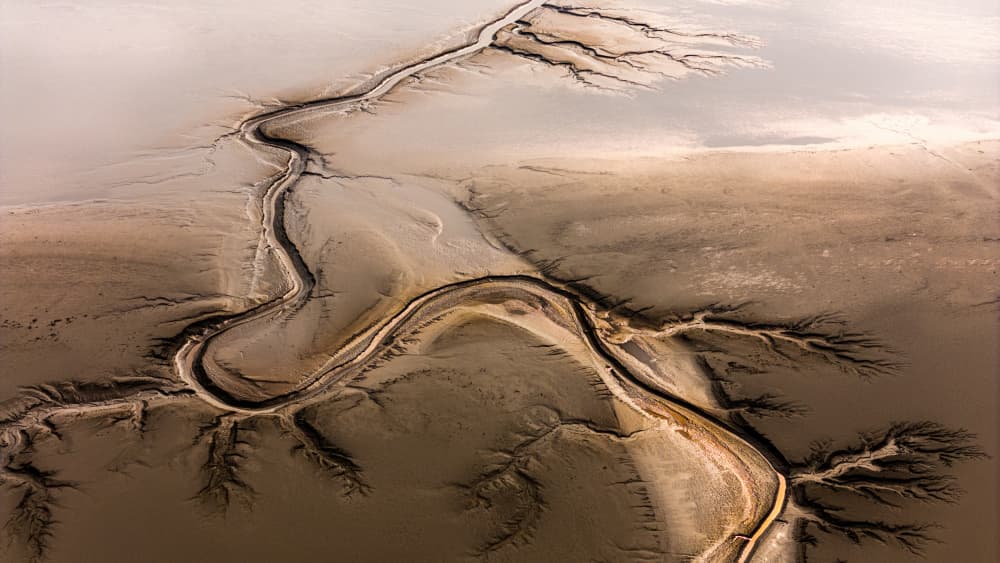 Abstract Earth Channels by Grace Guo APA — canvas wall art