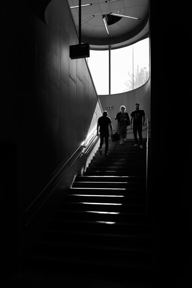 Silhouetted Figures Descending by Tamas Dragon — canvas wall art