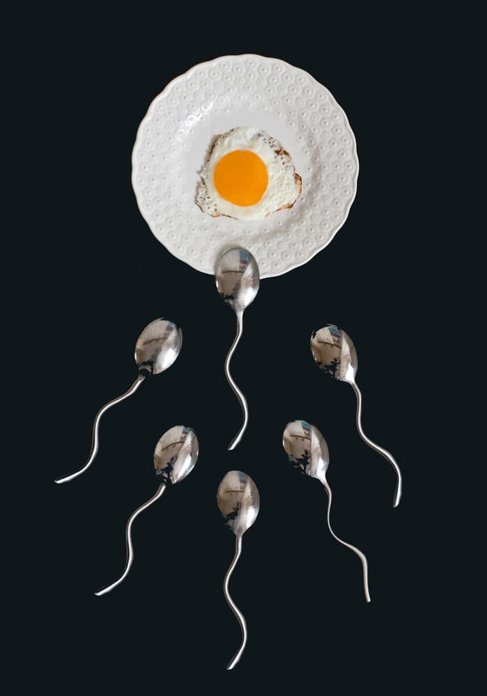 Culinary Conception by Elena Karagyozova — canvas wall art