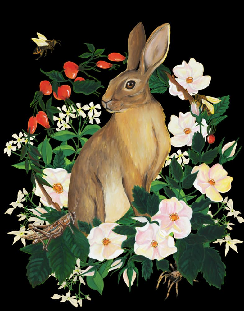 Wild Rabbit and Flowers by Renee Machan Cottagecore Artist — canvas wall art