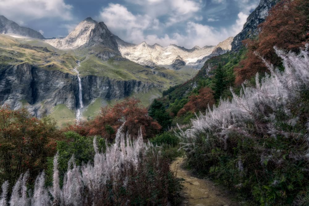 Alpine Waterfall Path by Carlos Cremades Pérez — canvas wall art