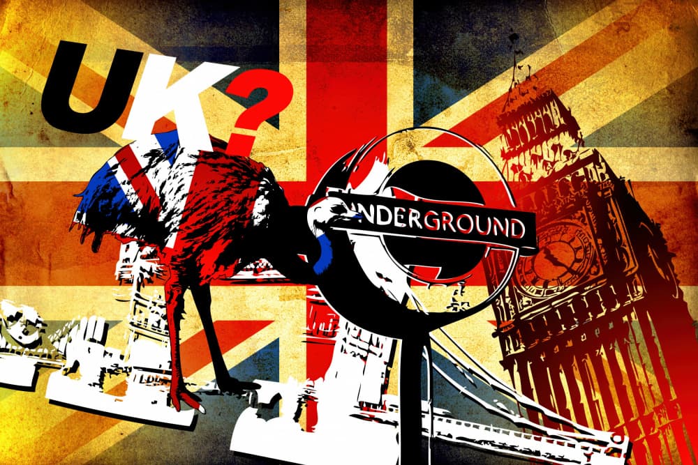 London Emu Pop Art by Rafal Kulik — canvas wall art