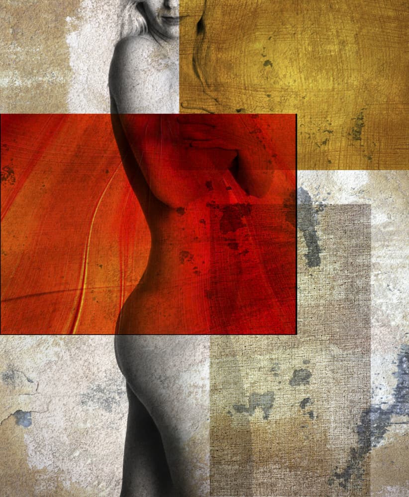 Sensual Abstract Figure by Rudi Jacobs — canvas wall art