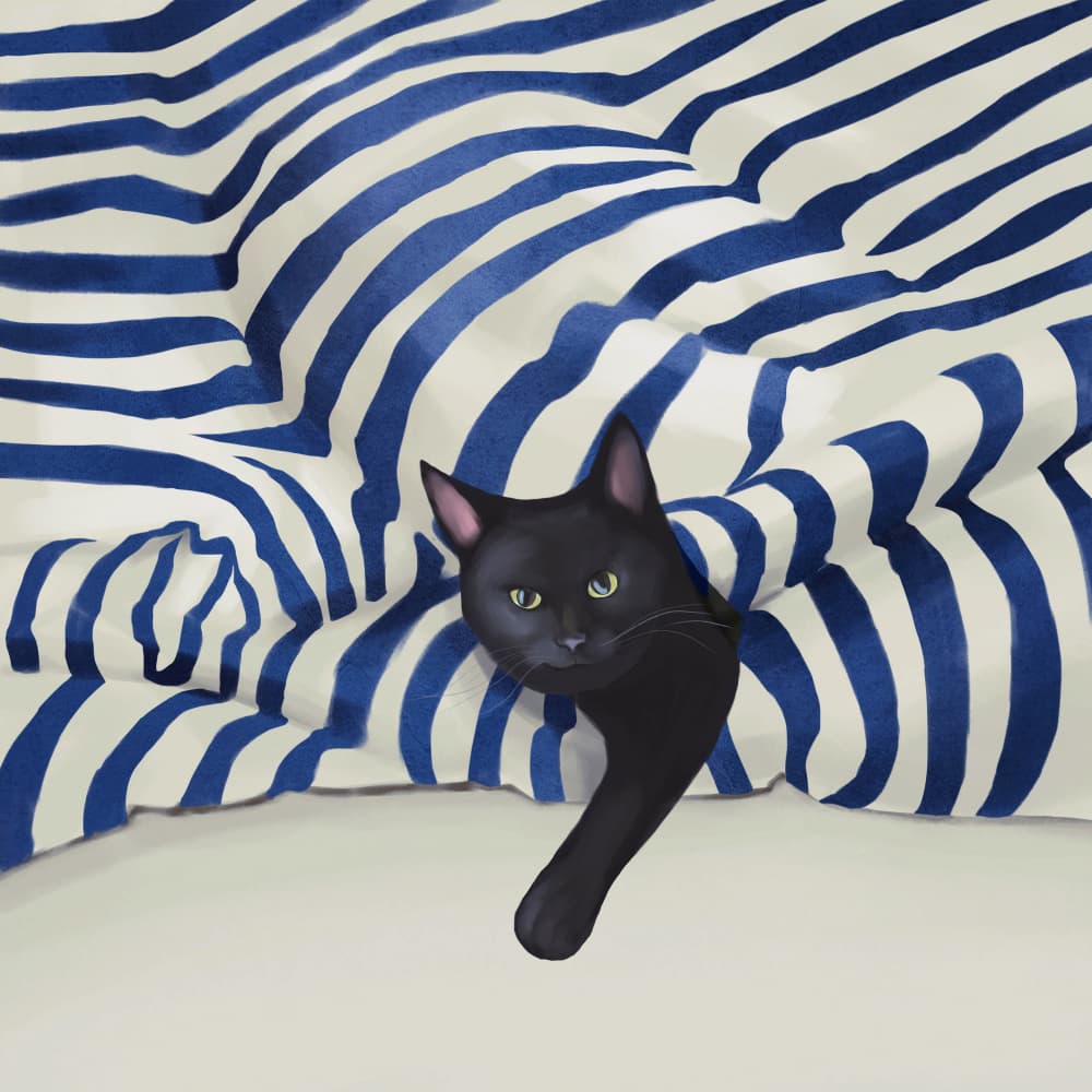 Peeking Black Cat by Flow Line — canvas wall art