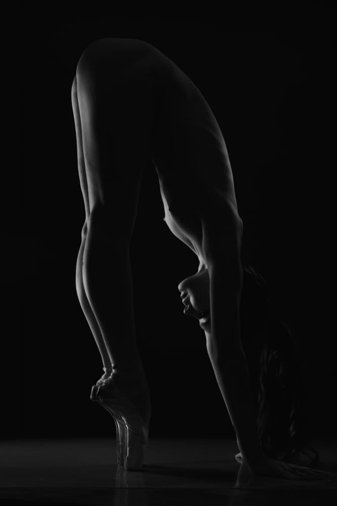 Graceful Dancer Silhouette by Rostovskiy Anton — canvas wall art