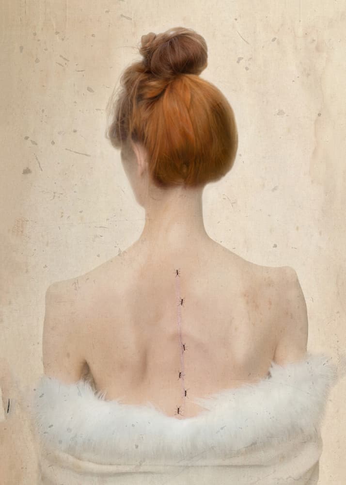 Red Hair Ant Trail by Joanna Ras — canvas wall art