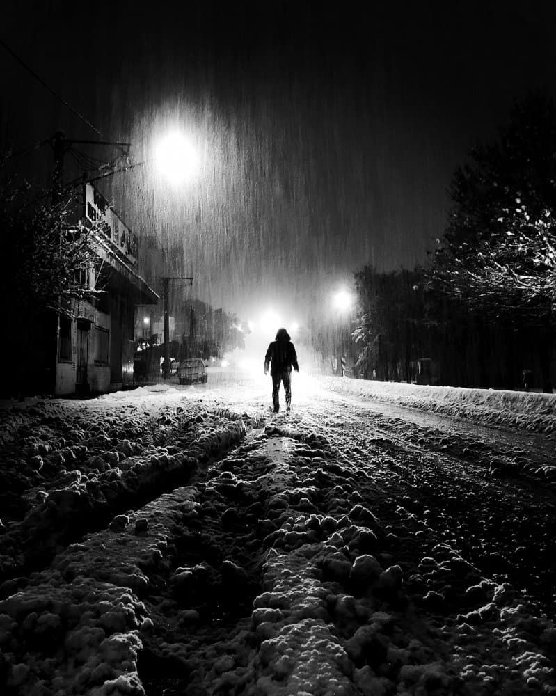 Night Snowfall Solitude by Shamal Shakibayi — canvas wall art