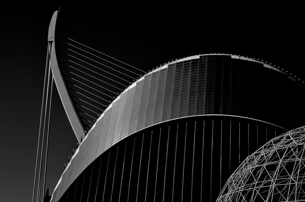 Sleek Modern Curves by Flavio Bertazzi — canvas wall art