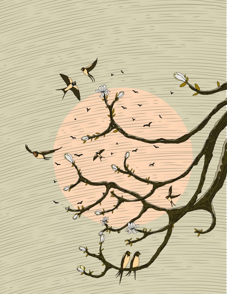 Oriental Swallows Bloom by Nicholas — canvas wall art
