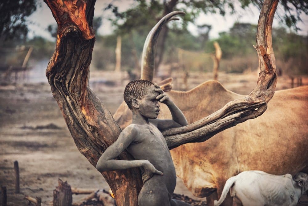 Dinka Boy and Cattle by Svetlin Yosifov — canvas wall art