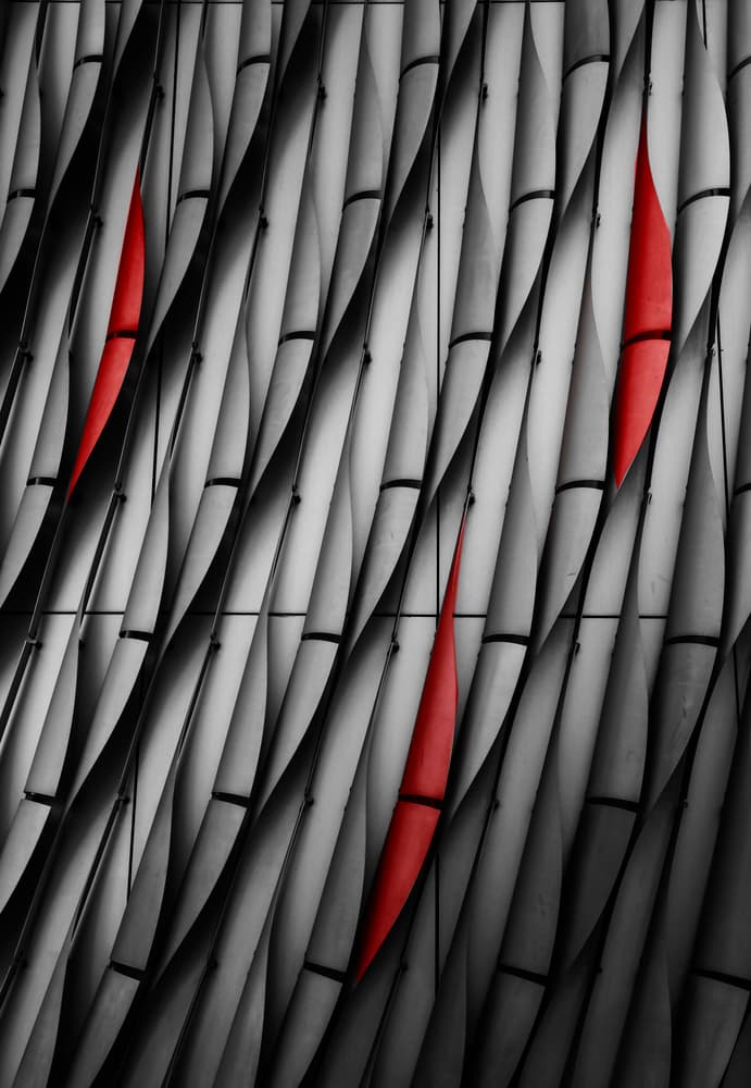 Modern Bamboo Accent by Charles Cho — canvas wall art