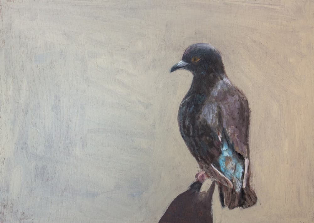 Dark Pigeon Portrait by Claire Lerner — canvas wall art