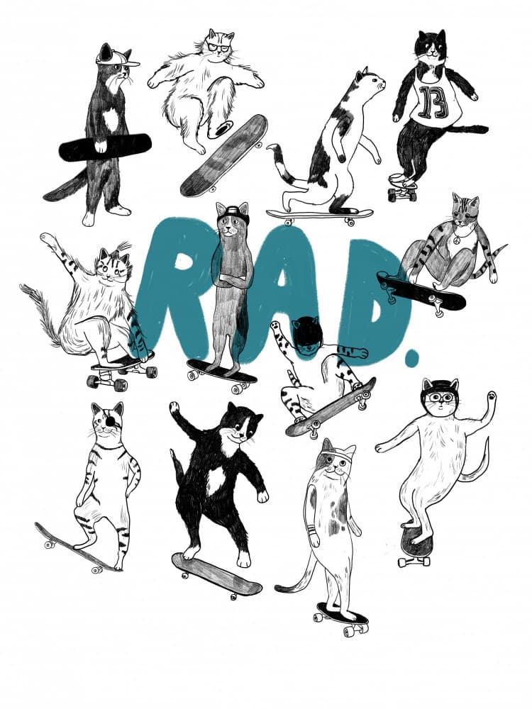 Rad Skate Cats by Hanna Melin — canvas wall art