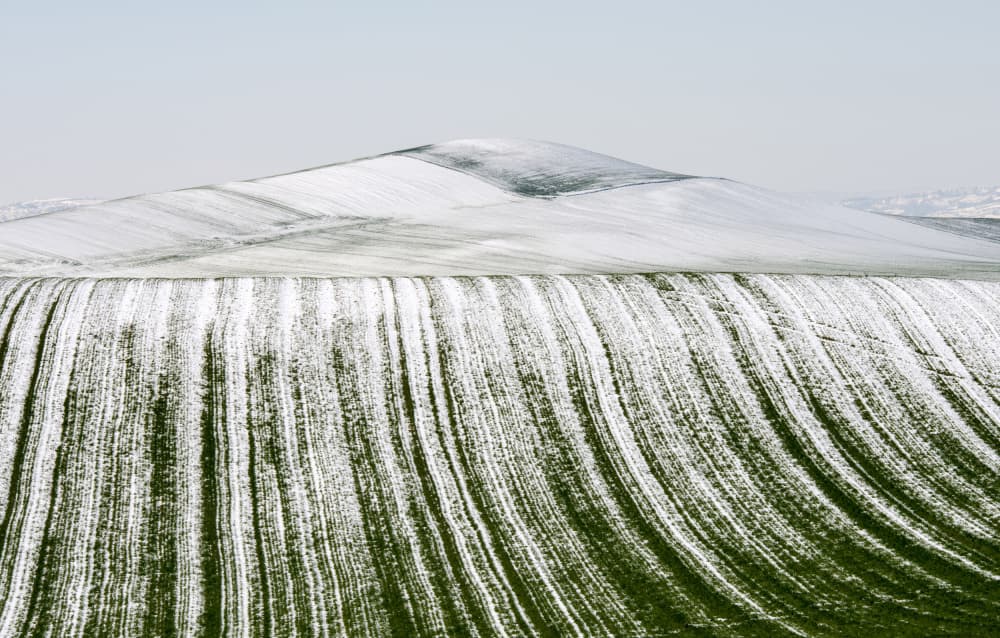 Snowy Field Patterns by Nicola Figliuolo — canvas wall art