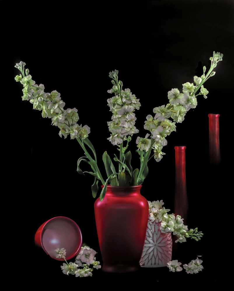 Green Blooms Red Vases by jlloydphoto — canvas wall art