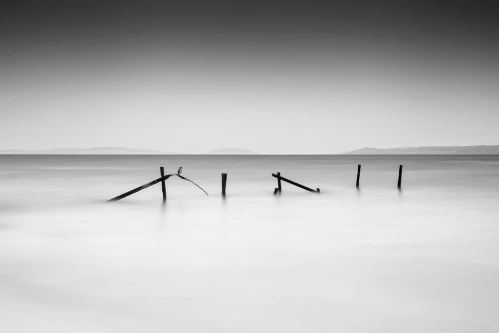 Tranquil Water Posts by Catalin Baican — canvas wall art