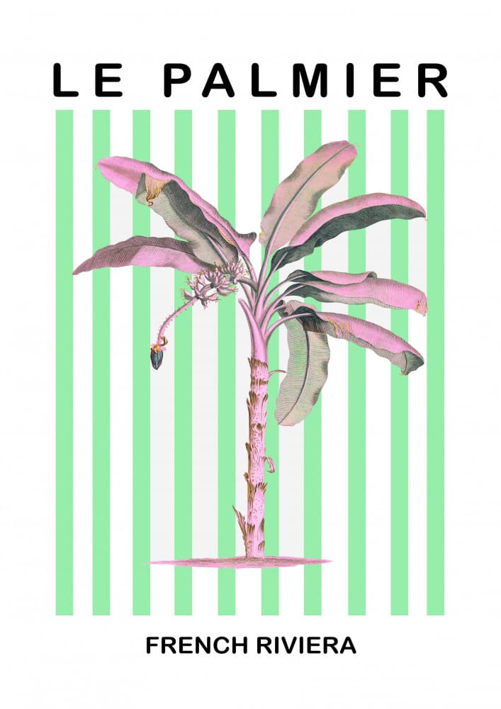 Pink Palm French Riviera by Talitha McQueen — canvas wall art
