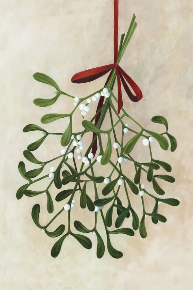 Classic Christmas Mistletoe by Rosana Laiz Blursbyai — canvas wall art