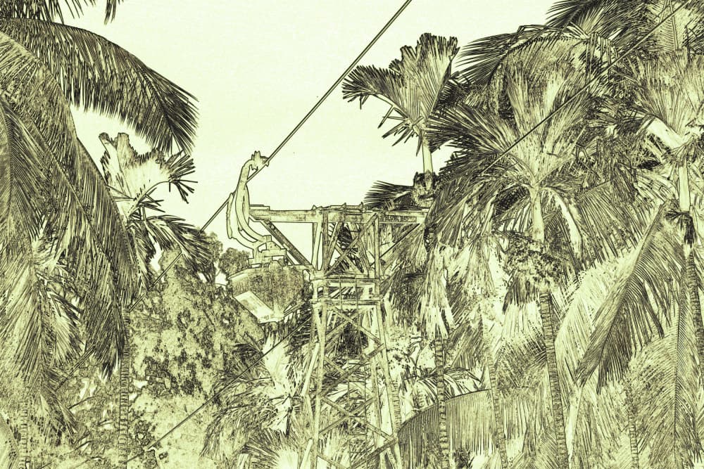Jungle Cable Adventure by Santhosh ch — canvas wall art
