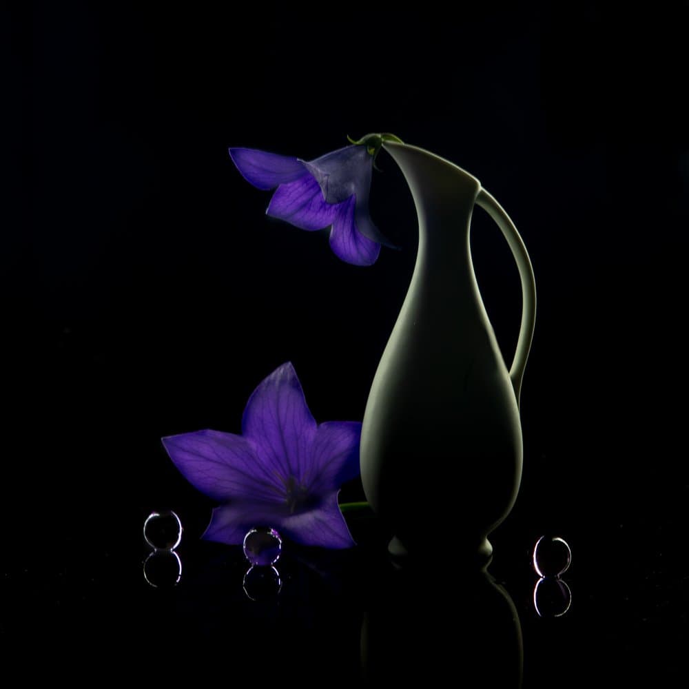 Purple Flowers Dark Elegance by Wendy Xu — canvas wall art