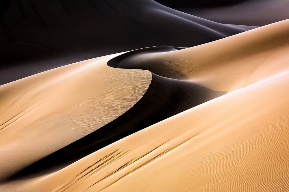 Golden Desert Dunes by Mohammadreza Momeni — canvas wall art