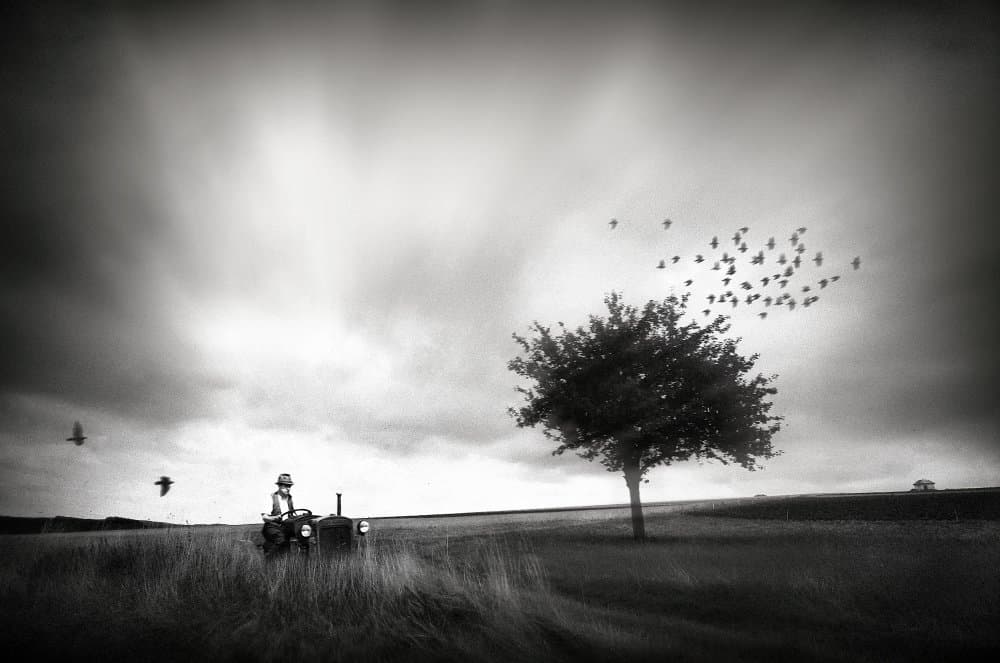 Rural Field Tractor Birds by Holger Droste — canvas wall art