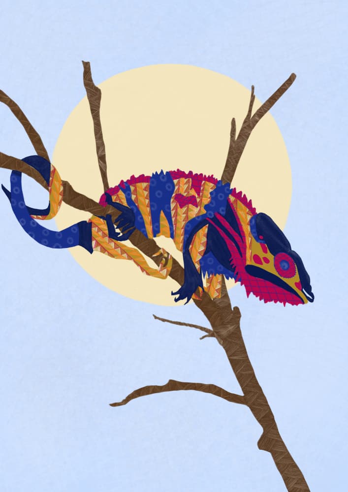 Colorful Chameleon on Branch by Art by the Ocean — canvas wall art