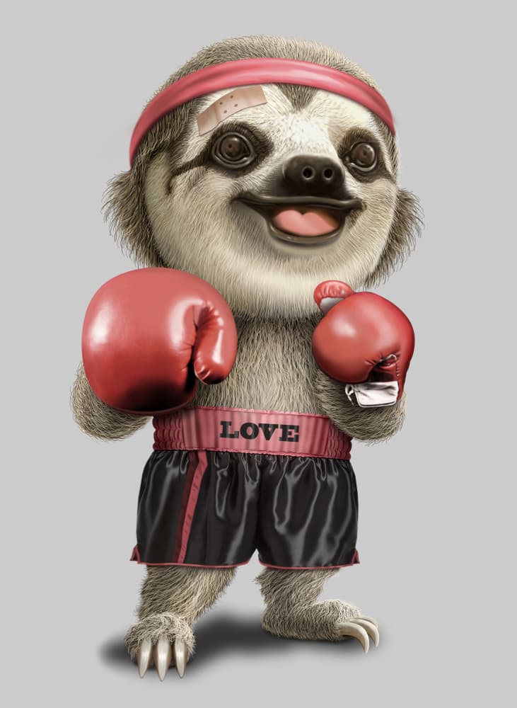 Cute Boxing Sloth by Adam Lawless — canvas wall art