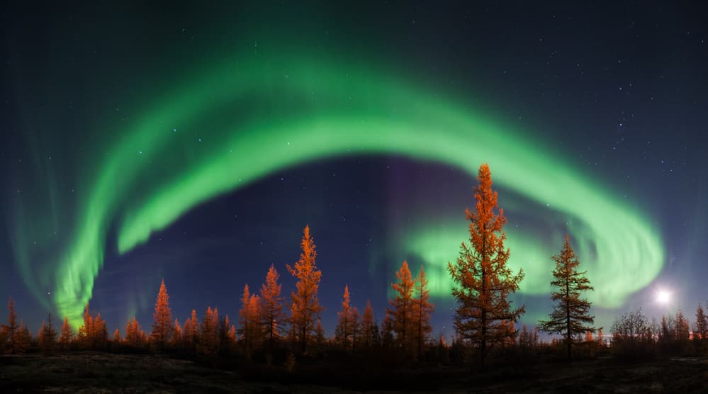 Vibrant Aurora Night Sky by Andrey Snegirev — canvas wall art