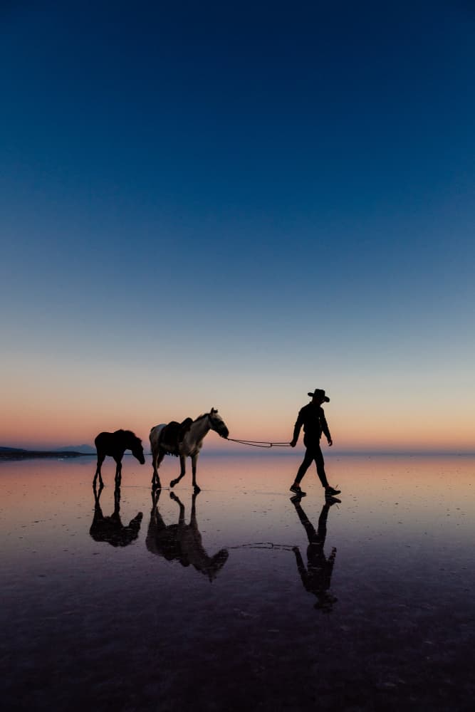 Cowboy Horses Twilight Reflection by M. Emre Erol — canvas wall art