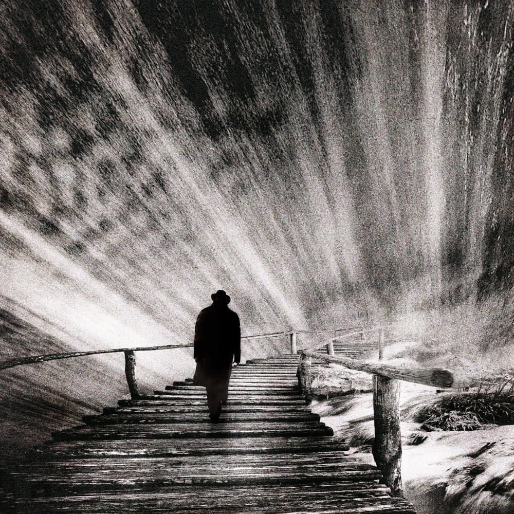 Solitary Path To Light by Evgenii Novichikhin — canvas wall art