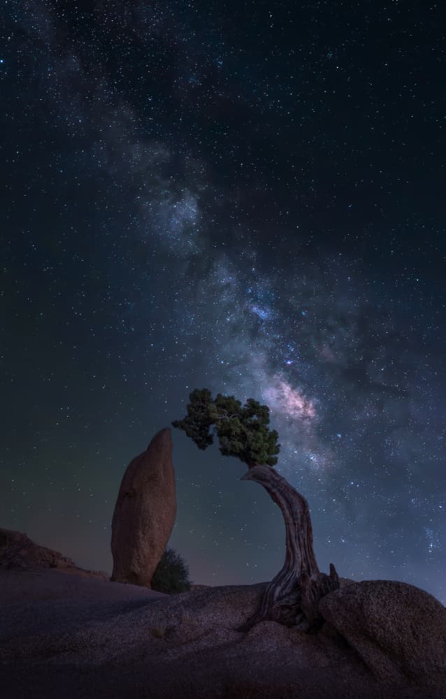 Milky Way Desert Tree by Ruiqing P. — canvas wall art