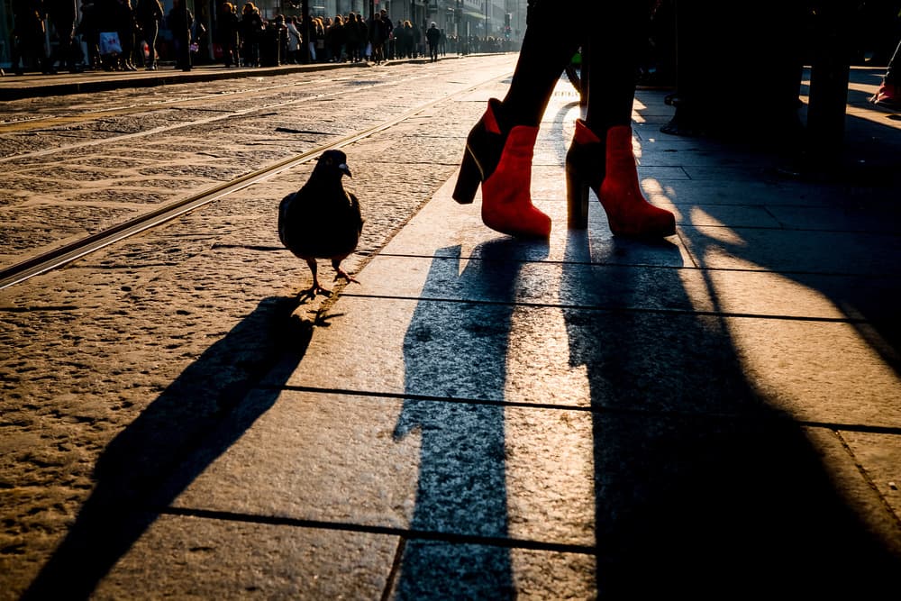 Red Boots Long Shadows by Alessandro L.  Rocchi — canvas wall art