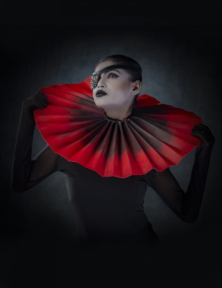 Dramatic Red Collar Portrait by DEBASISH CHATTOPADHYAY — canvas wall art