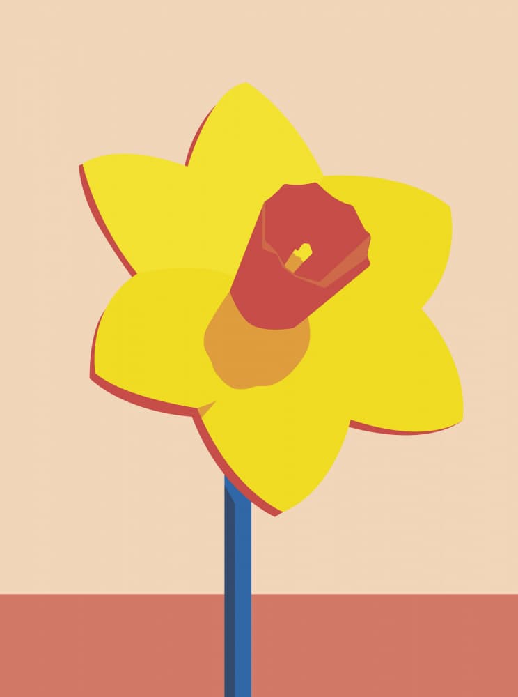 Modern Yellow Daffodil by DARIA IVANOVNA — canvas wall art