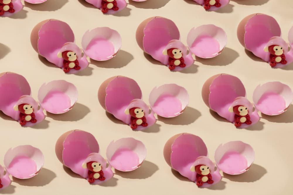 Cute Monkey Surprise by Julia Ramiro — canvas wall art