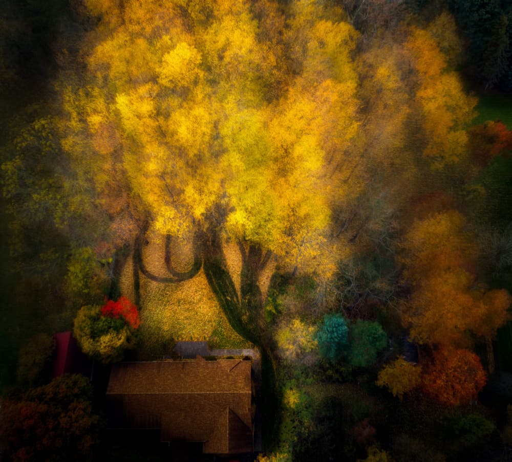 Golden Autumn Garden by Ling  Lu — canvas wall art